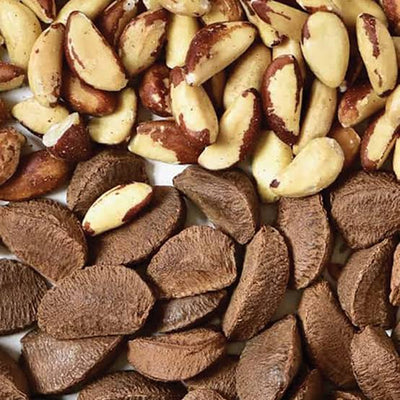 Brazil Nuts Shell
