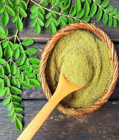 moringa-powder-sohanjna