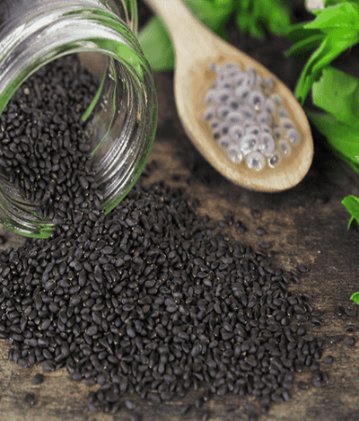 Basil Seeds (Tukh Malanga )