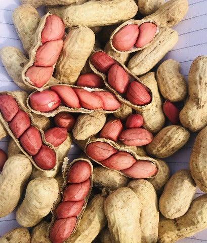 Premium Peanuts With Shell Parachinar (مونگ پھلی)